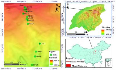 Biogeographic Patterns and Assembly Mechanisms of Bacterial Communities Differ Between Habitat Generalists and Specialists Across Elevational Gradients